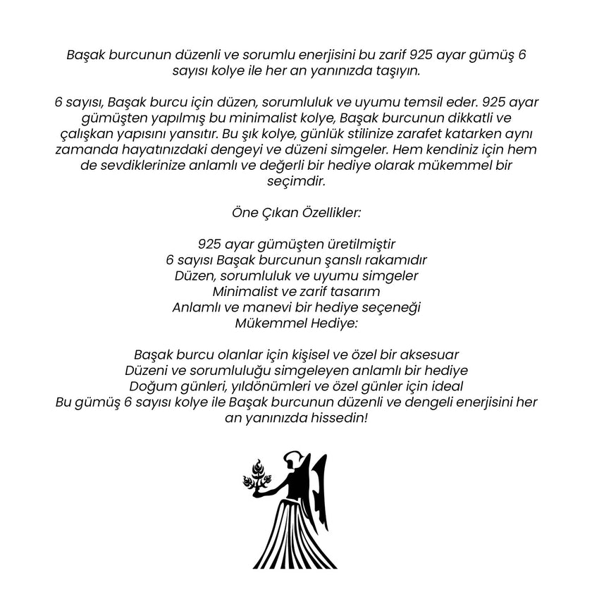 Shiny Spectra 925 Ayar Gümüş 6 Sayısı Kolye Başak Burcu İçin Şanslı Rakam Düzen ve Sorumluluk Sembolü