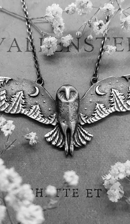 Büyülü Baykuş Çelik Kolye SSOWLN001